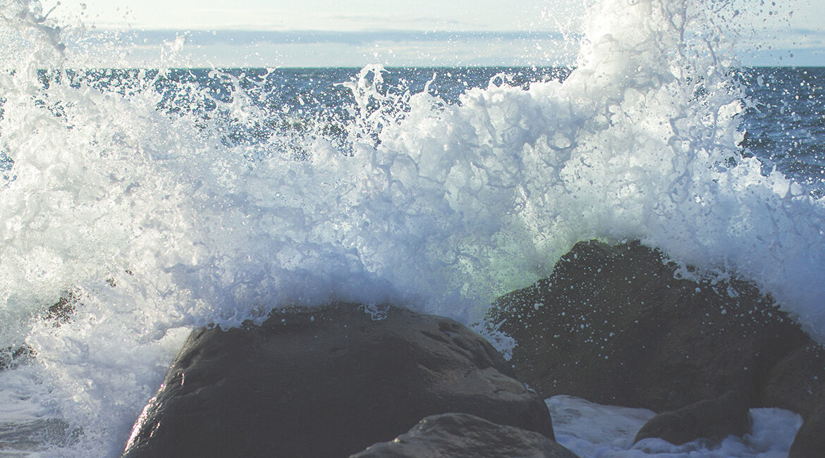 Every day we’ll have