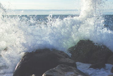 Every day we’ll have